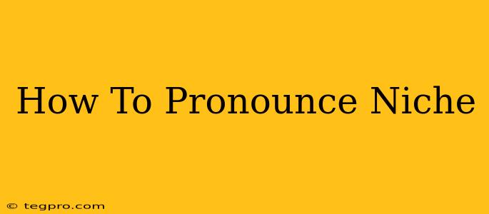 How To Pronounce Niche