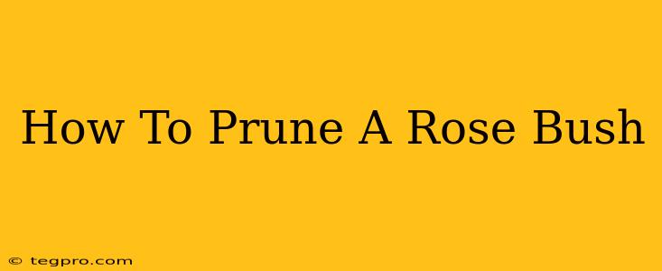 How To Prune A Rose Bush