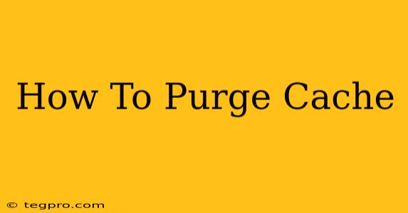 How To Purge Cache