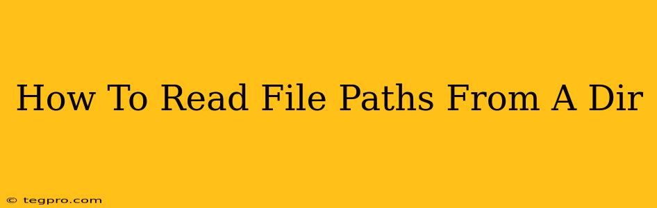 How To Read File Paths From A Dir