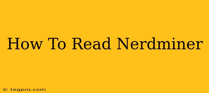 How To Read Nerdminer