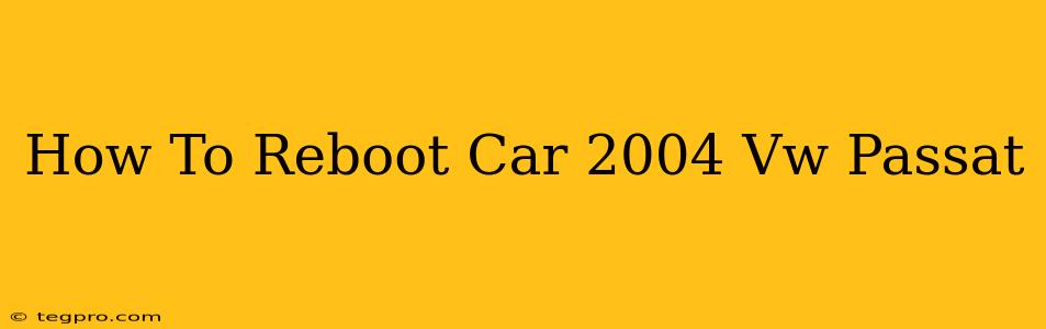 How To Reboot Car 2004 Vw Passat