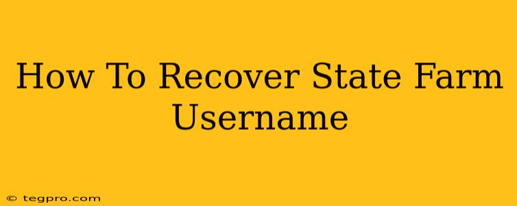 How To Recover State Farm Username