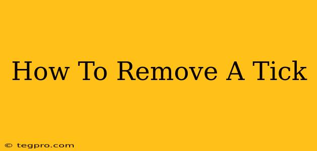 How To Remove A Tick