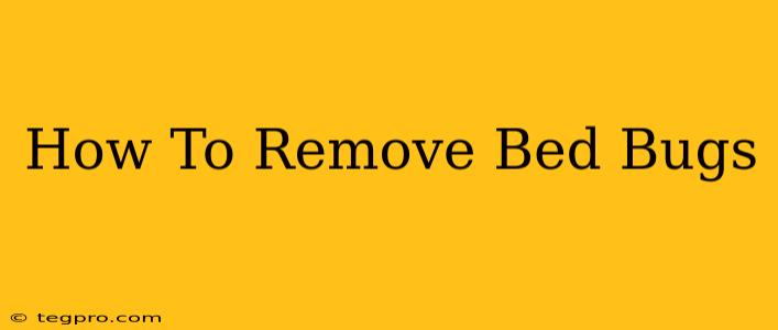 How To Remove Bed Bugs