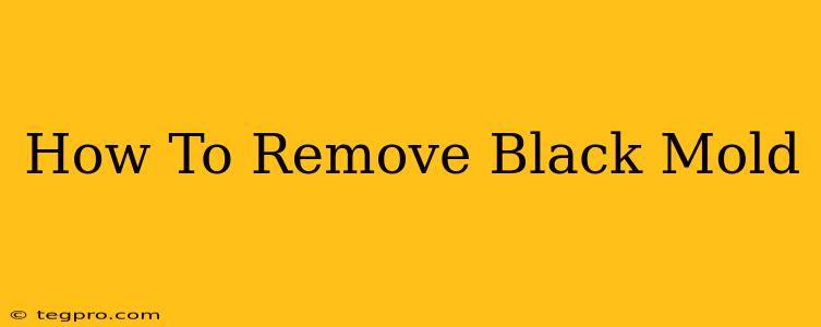 How To Remove Black Mold