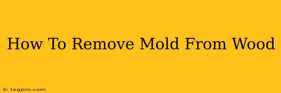 How To Remove Mold From Wood