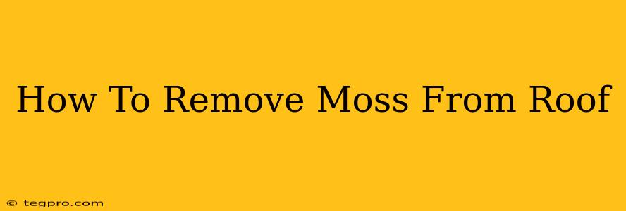 How To Remove Moss From Roof