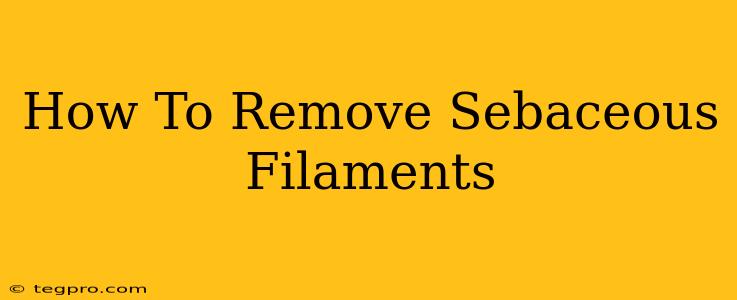 How To Remove Sebaceous Filaments