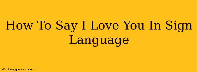 How To Say I Love You In Sign Language