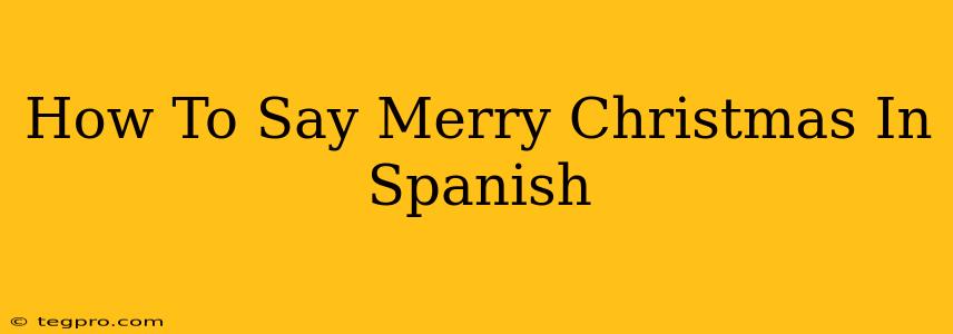 How To Say Merry Christmas In Spanish