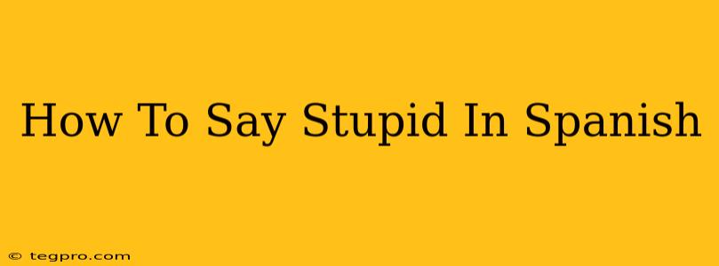 How To Say Stupid In Spanish