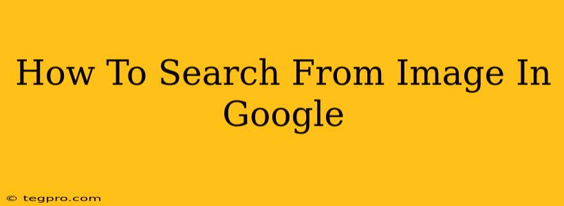 How To Search From Image In Google