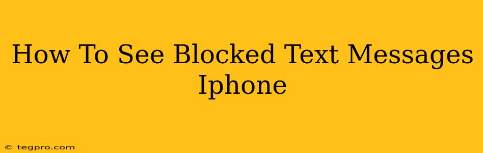 How To See Blocked Text Messages Iphone