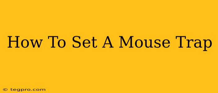 How To Set A Mouse Trap