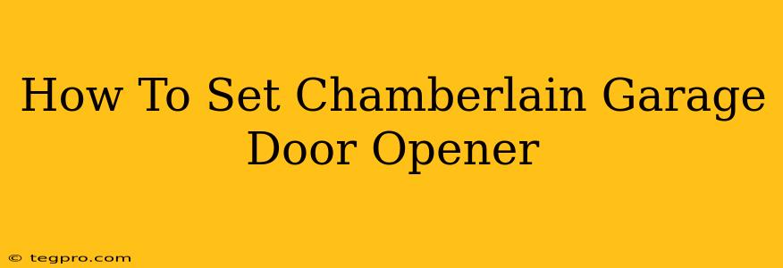 How To Set Chamberlain Garage Door Opener