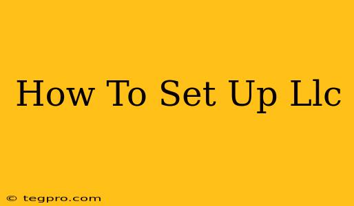 How To Set Up Llc