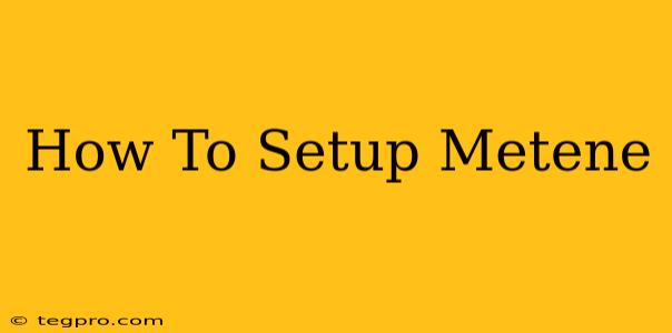 How To Setup Metene