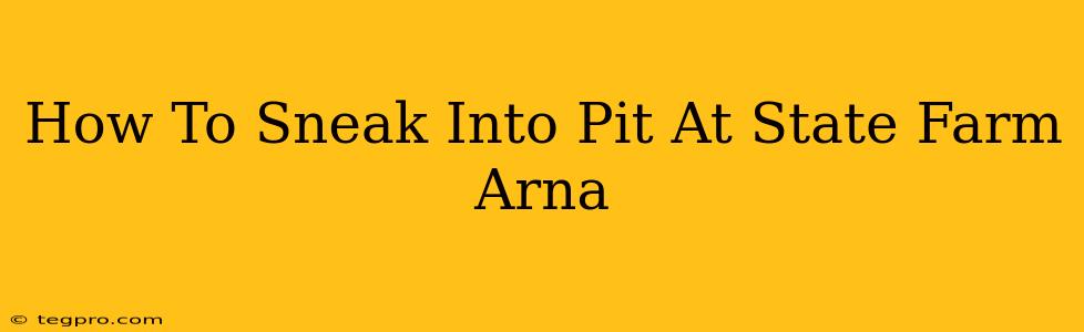 How To Sneak Into Pit At State Farm Arna