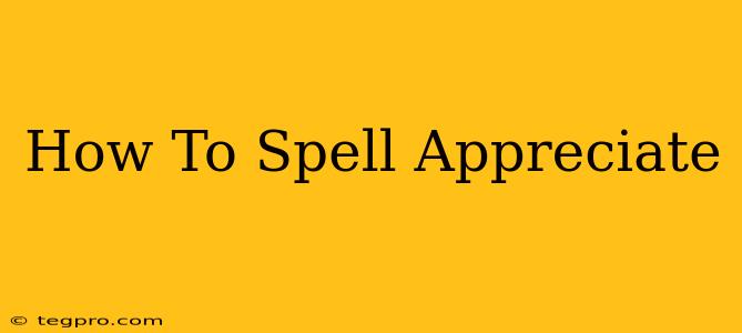 How To Spell Appreciate