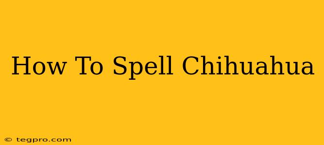 How To Spell Chihuahua