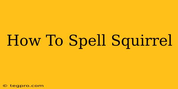 How To Spell Squirrel