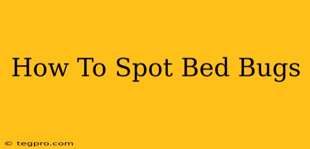 How To Spot Bed Bugs