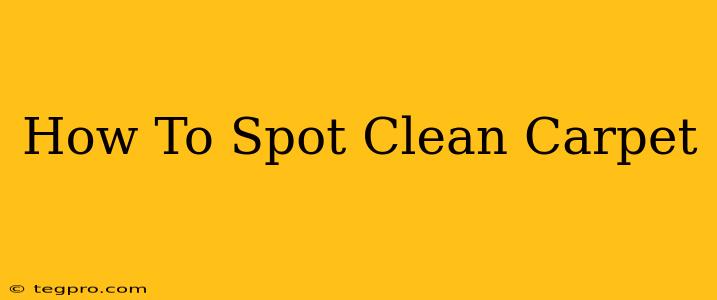 How To Spot Clean Carpet