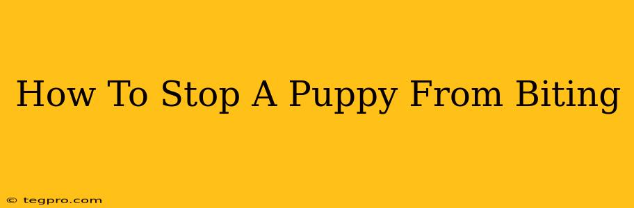 How To Stop A Puppy From Biting