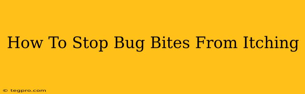 How To Stop Bug Bites From Itching