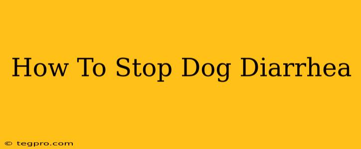 How To Stop Dog Diarrhea