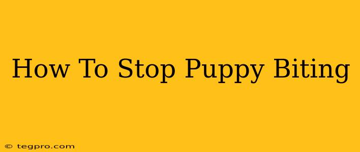 How To Stop Puppy Biting