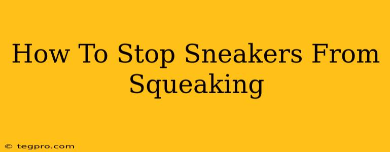 How To Stop Sneakers From Squeaking