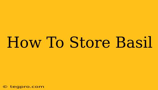 How To Store Basil