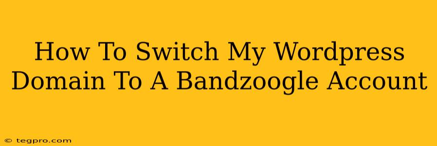 How To Switch My Wordpress Domain To A Bandzoogle Account