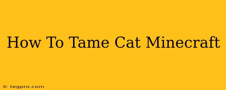 How To Tame Cat Minecraft