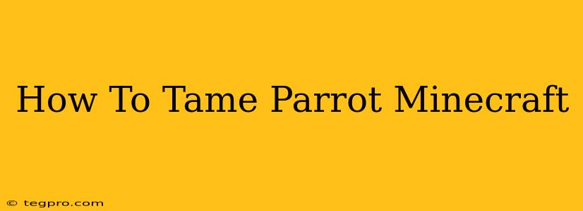 How To Tame Parrot Minecraft