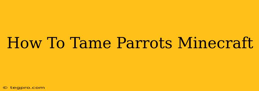 How To Tame Parrots Minecraft