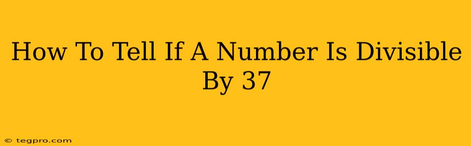 How To Tell If A Number Is Divisible By 37