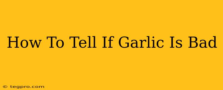 How To Tell If Garlic Is Bad