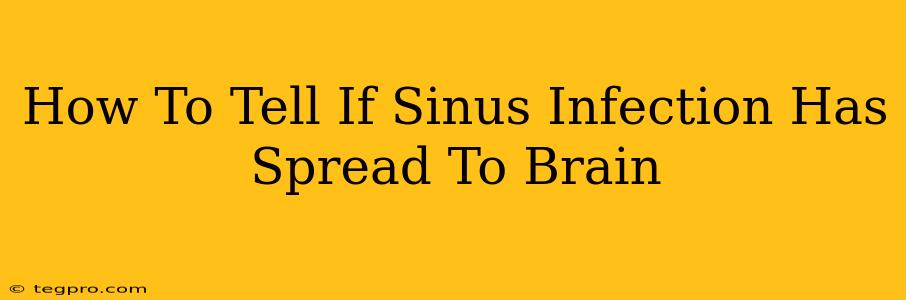 How To Tell If Sinus Infection Has Spread To Brain