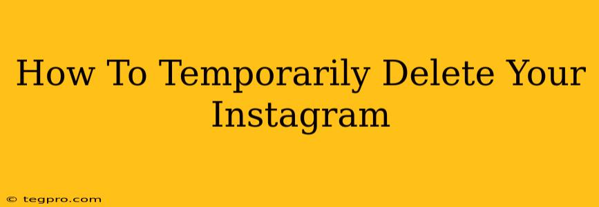 How To Temporarily Delete Your Instagram