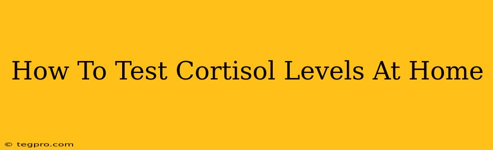 How To Test Cortisol Levels At Home