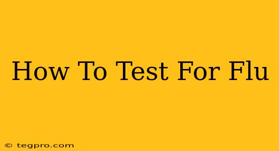 How To Test For Flu