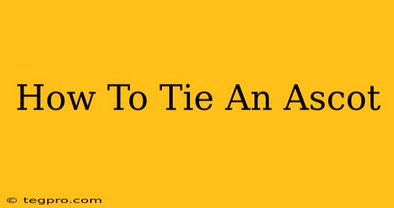 How To Tie An Ascot