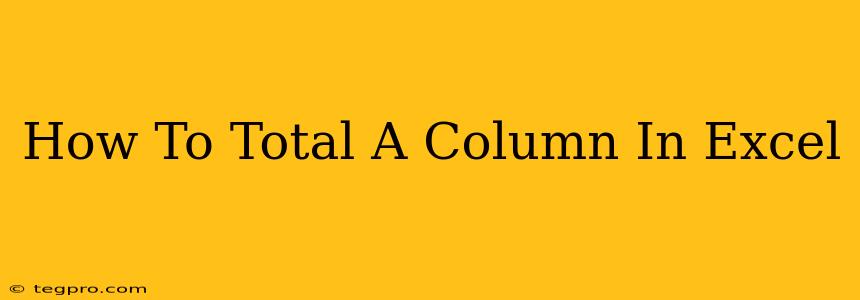 How To Total A Column In Excel