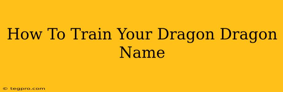 How To Train Your Dragon Dragon Name