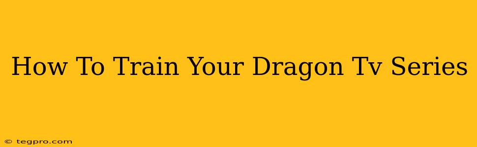 How To Train Your Dragon Tv Series