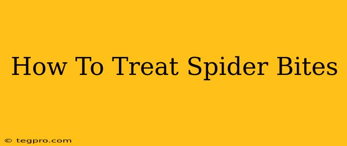 How To Treat Spider Bites