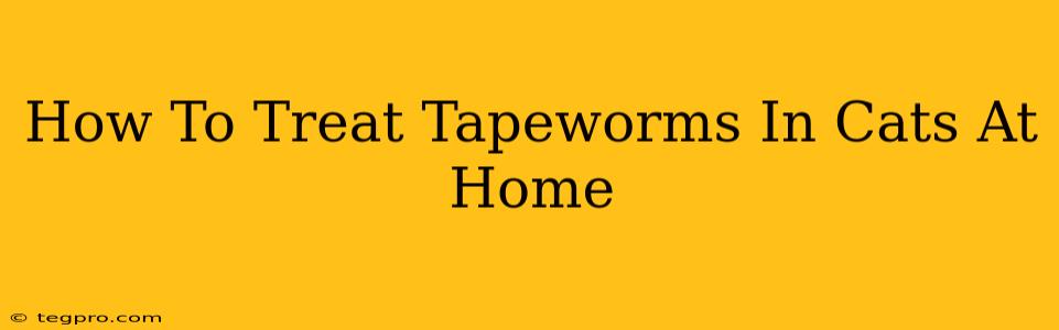 How To Treat Tapeworms In Cats At Home